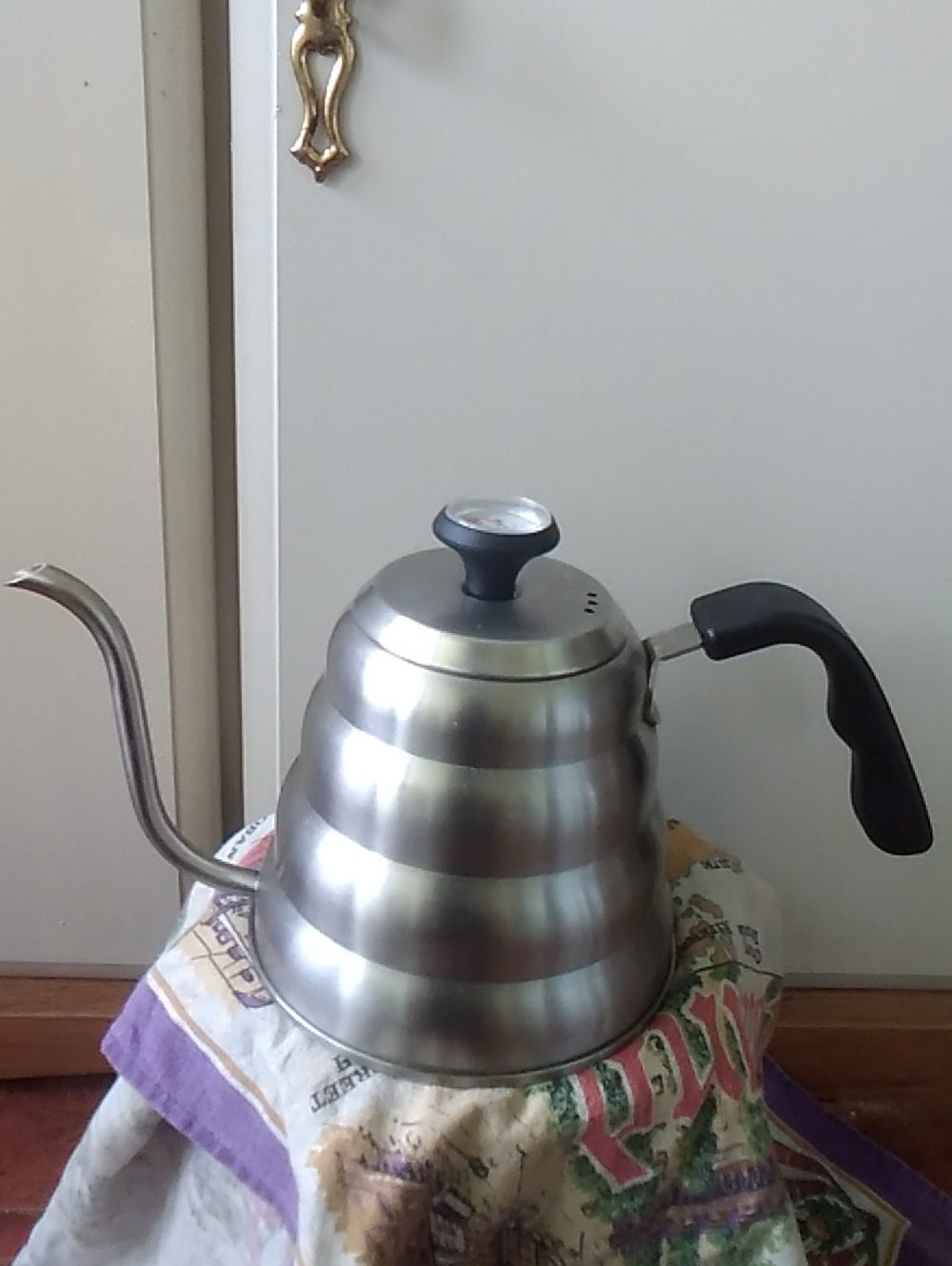 Stainless Steel Gooseneck Kettle with Black Handle - Silver
